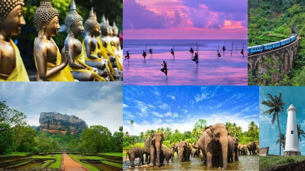 ACM SIGCHI Winter School: Connecting South Asia to collaborate and develop research interest in HCI - Flow Card Image