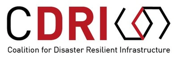 Call For Proposals 2024-25: CDRI Fellowship. - Flow Card Image