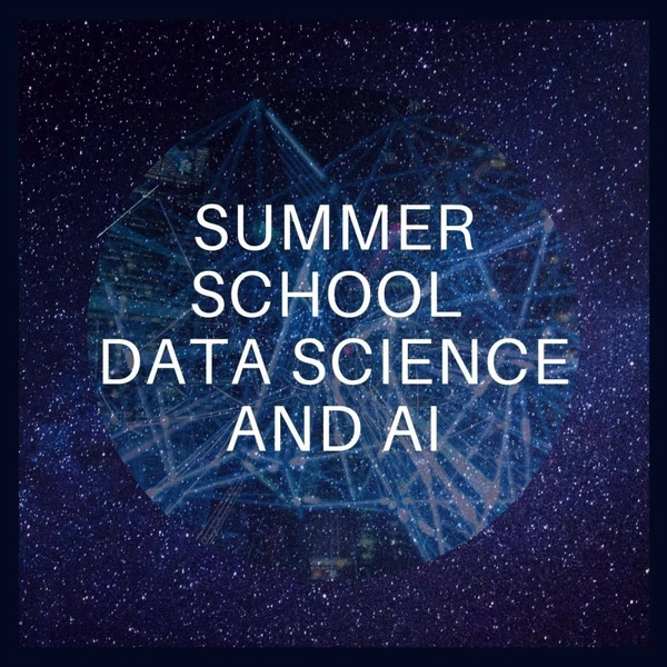 2024 Summer Schools in Machine Learning, Data Science, and AI - Flow Card Image