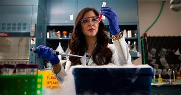 Paired Early Career Fellowship in Applied Research (PECFAR) – Call 2024, India/Germany - Flow Card Image