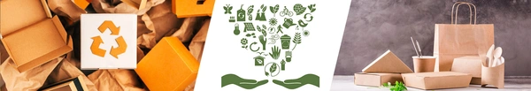 IGSTC 2+2 Call 2024 for AI for Sustainability, India and Germany - Flow Card Image