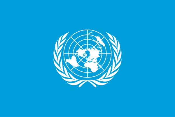 Guide to Opportunities at UN Organisations - Flow Card Image