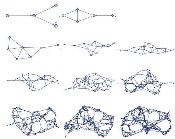 Wolfram Summer Research Institute 2026 - Flow Card Image