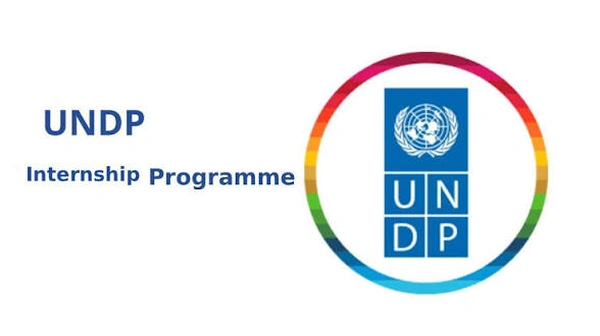 UNDP Digital, AI and Innovation Internship: Global Call for 2026 - Flow Card Image