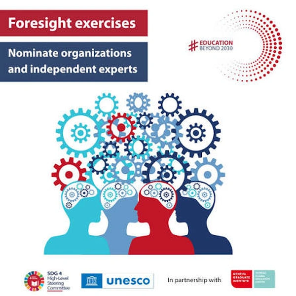 Post-2030 Education Agenda Expert Nomination - Flow Card Image